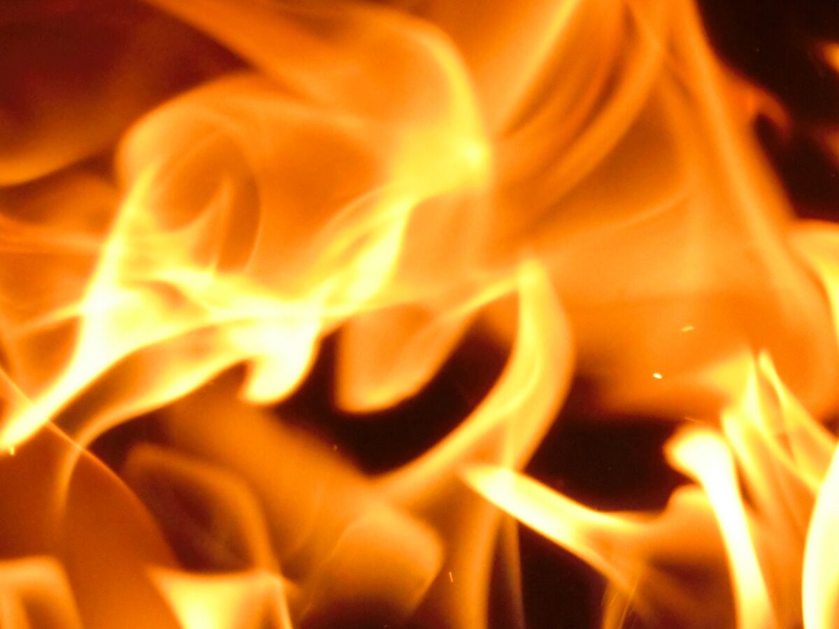 2月の焼肉きんぐ 三郷店の火災は放火だった 市内の幼稚園の器物損壊事件で逮捕された男が 放火で再逮捕 三郷ぐらし 埼玉県三郷市の地域情報ブログ