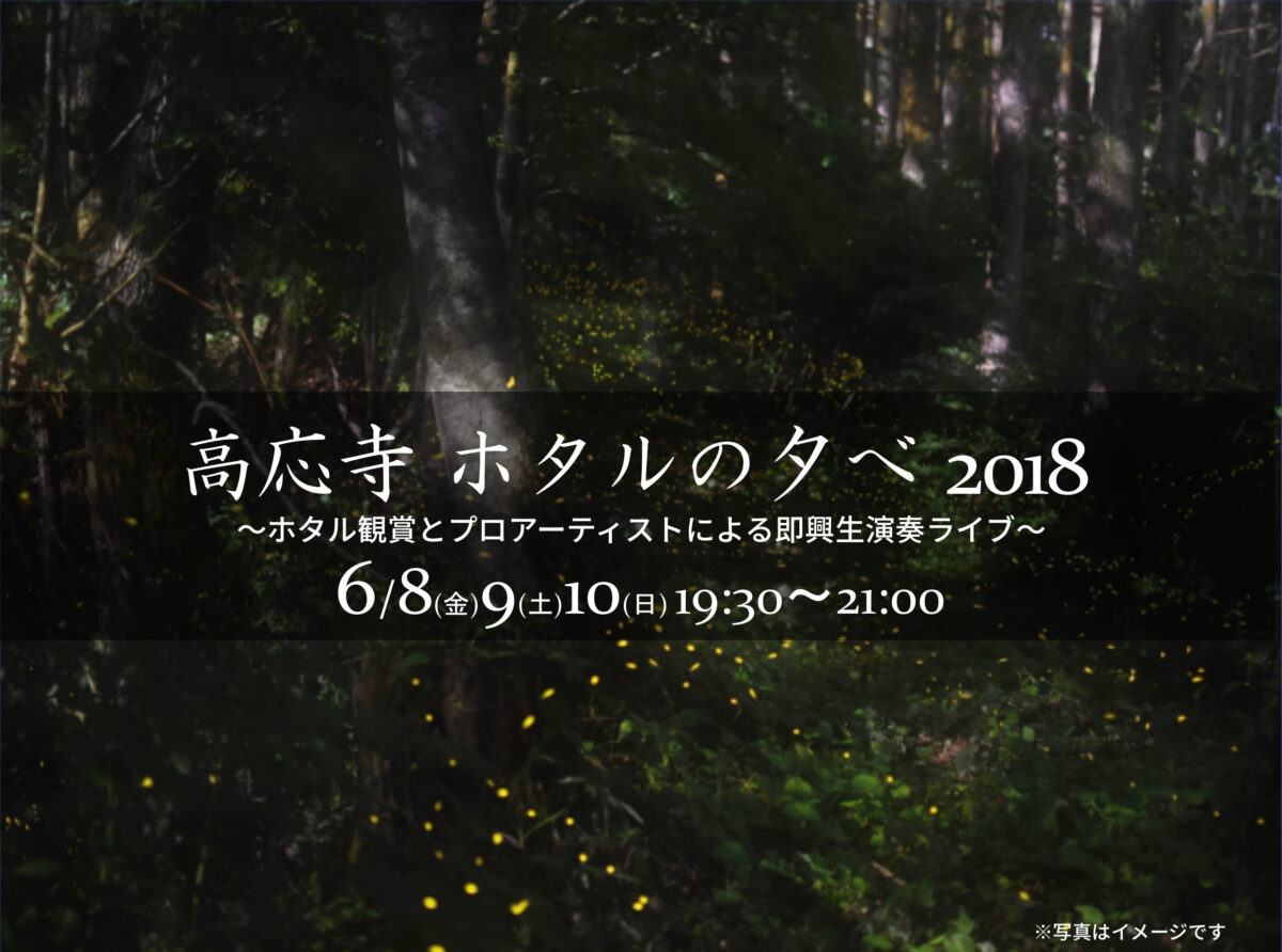 6 8 金 9 土 10 日 高応寺 ホタルの夕べ18が開催 ホタル観賞とプロアーティストによる即興生演奏ライブ 三郷ぐらし 埼玉県三郷市の地域情報ブログ