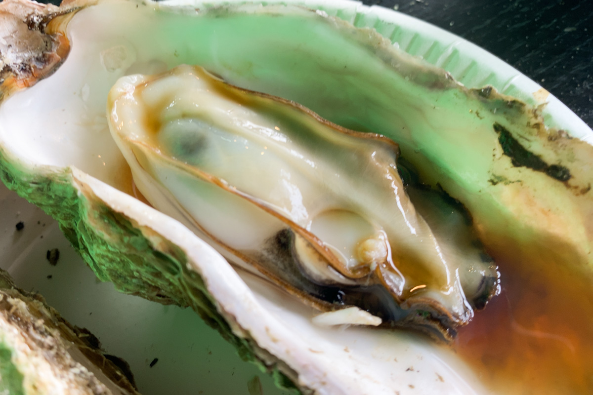 ３日以内に発送します ★ 焼き鳥台★海鮮魚介★牡蠣小屋★掃除よりも買い替え★LP 3日以内に発送します ☆ 焼き鳥台☆海鮮魚介☆牡蠣小屋☆掃除