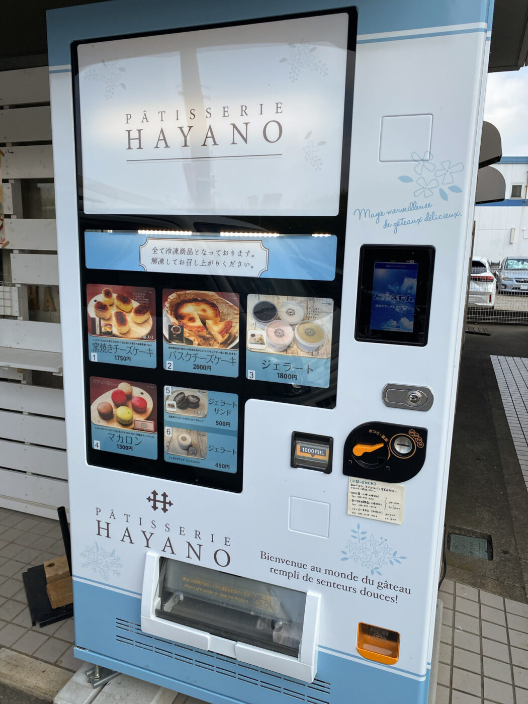 活動歴および当時の関連ビジュアル記録