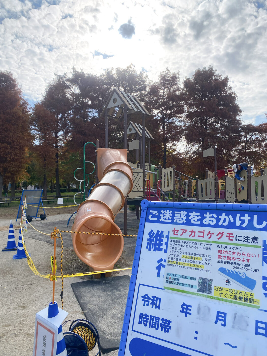 みさと公園の遊具「子どもの砦」で「セアカゴケグモ」が複数回発見され